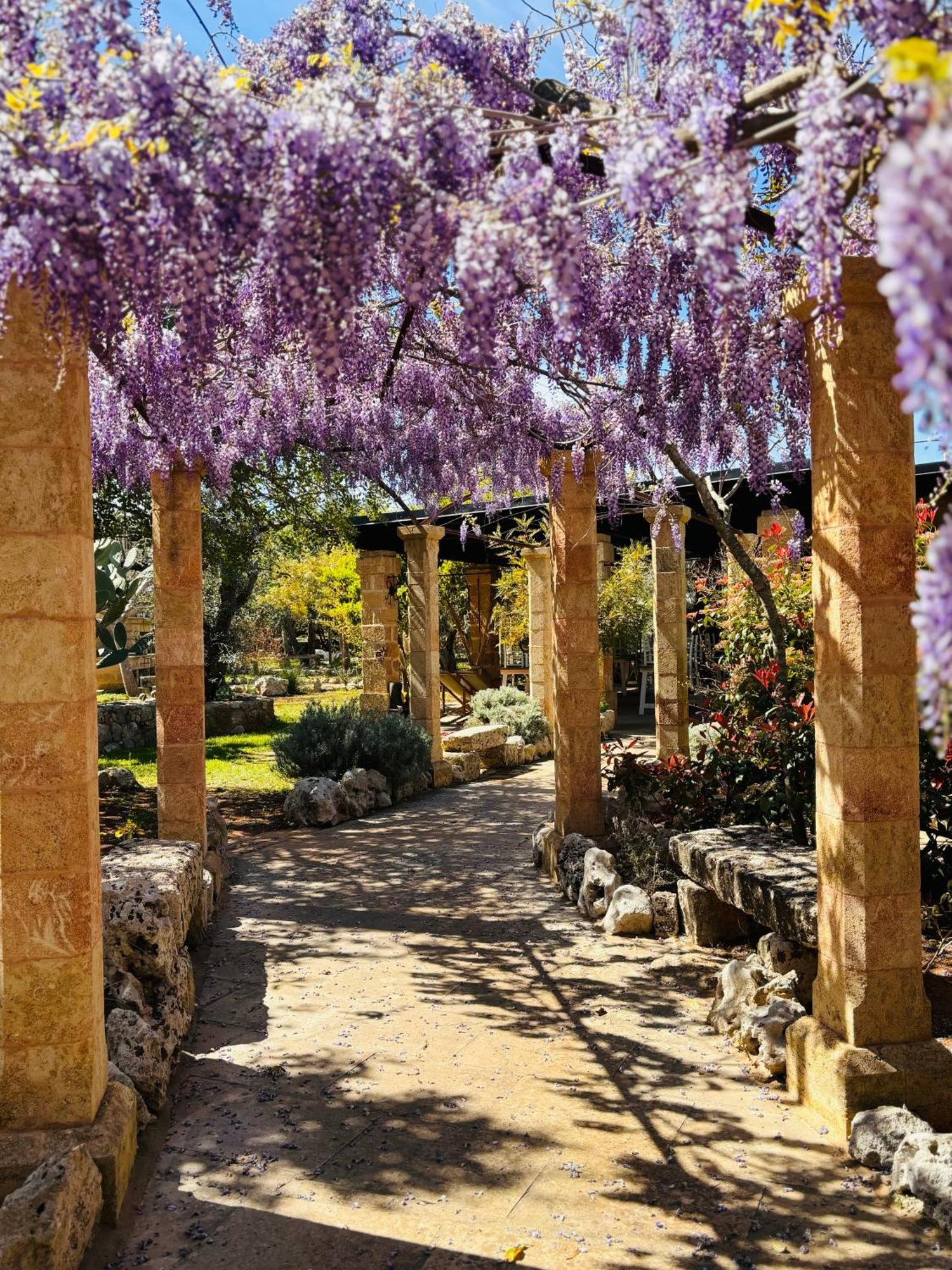 Masseria Borgo Del Gallo Tricase Buitenkant foto