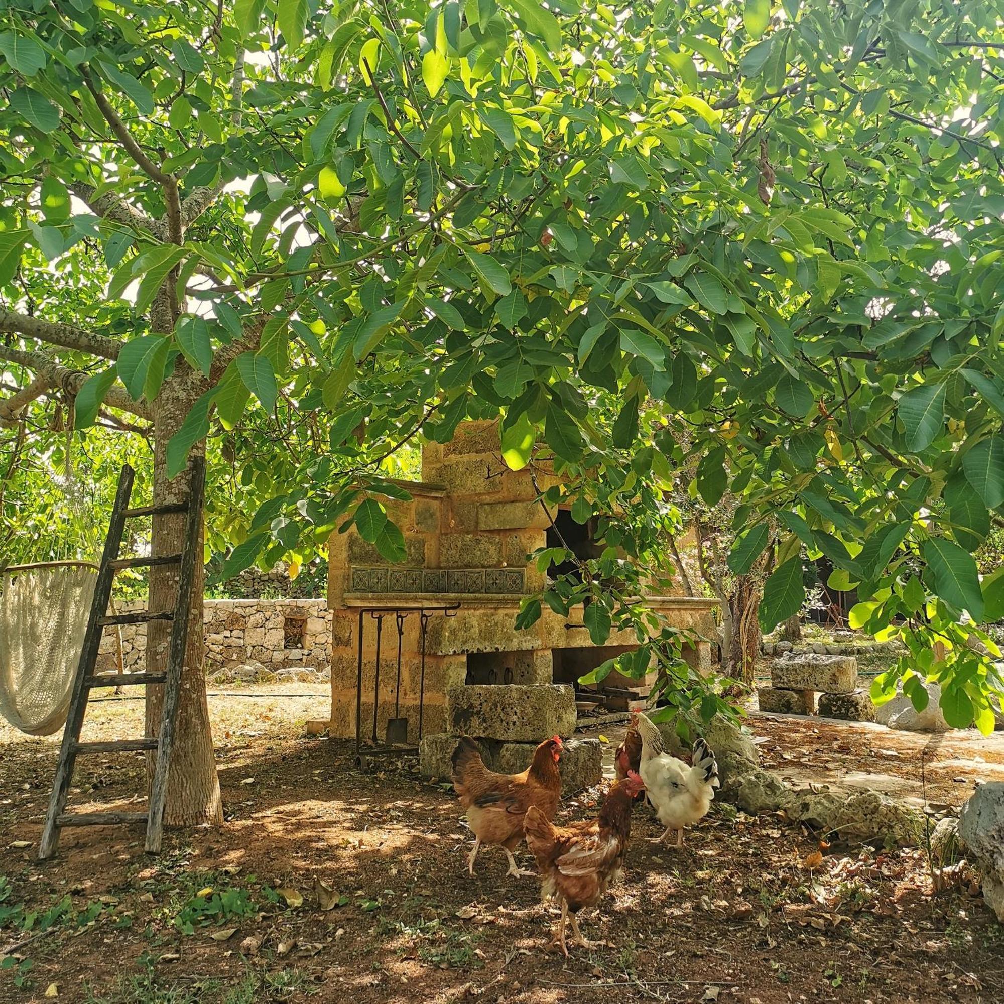 Masseria Borgo Del Gallo Tricase Buitenkant foto