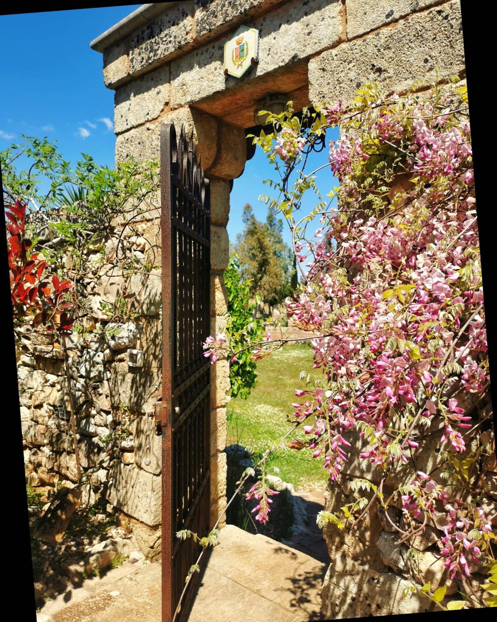 Masseria Borgo Del Gallo Tricase Buitenkant foto