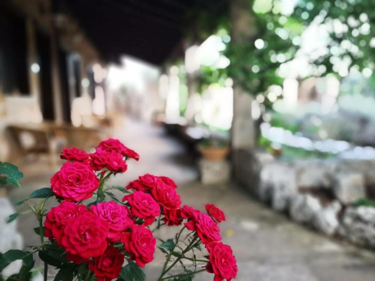 Masseria Borgo Del Gallo Tricase Buitenkant foto